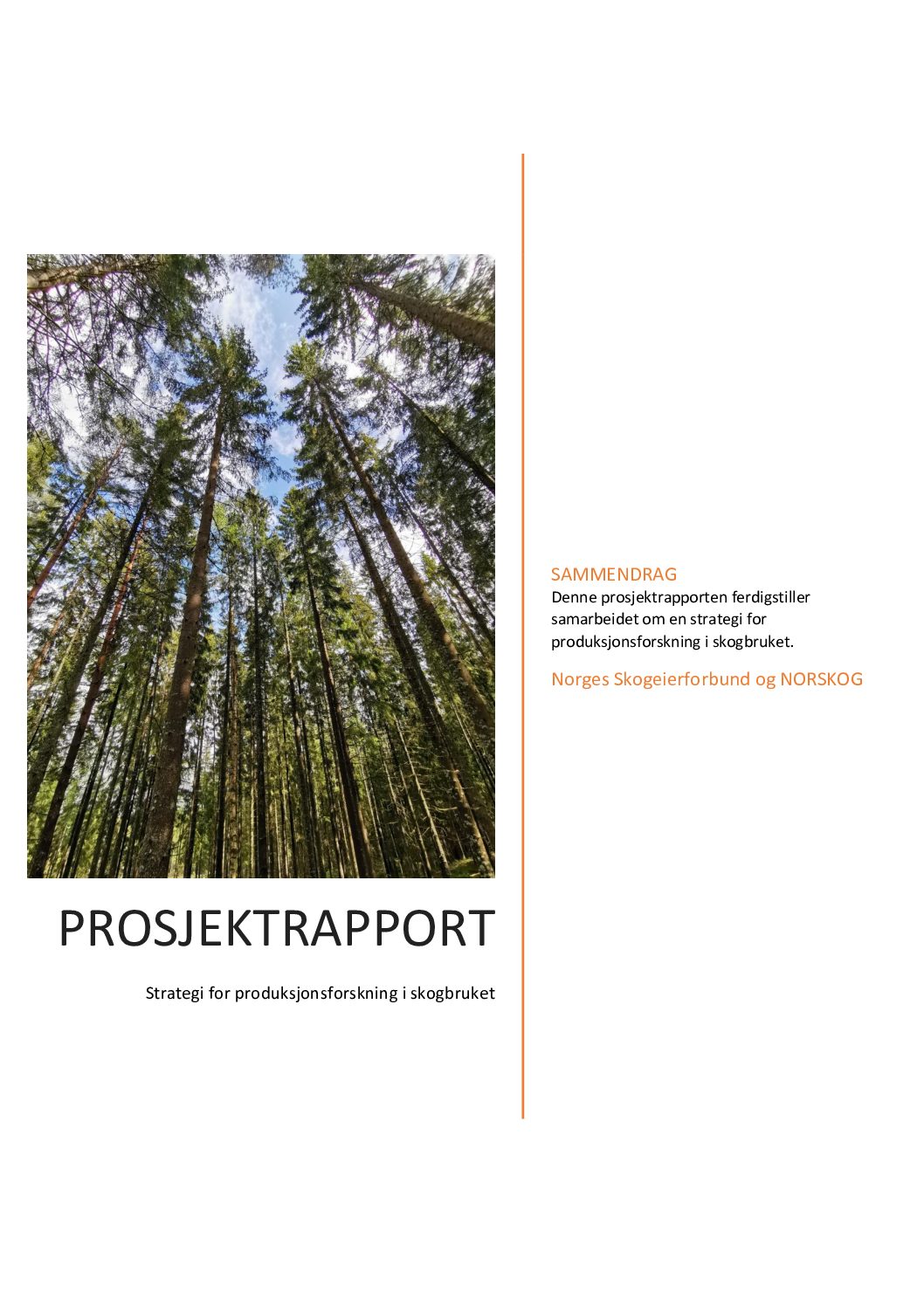Strategi for produksjonsforskning i skogbruket