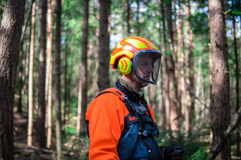 Hva er Skogbrukets Verdiskapingsfond?